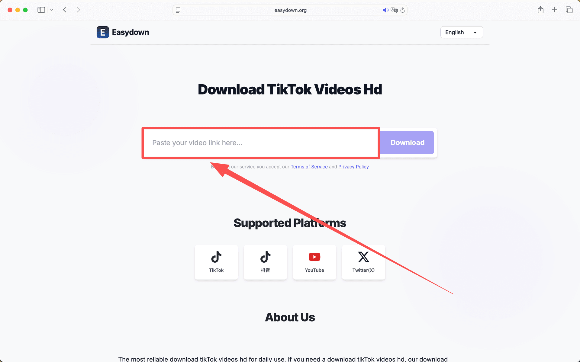 Paste a Xiaohongshu link into the downloader